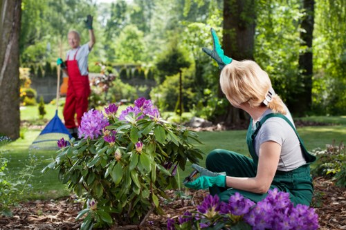 Tree Surgeons Brimsdown cookie policy introduction image