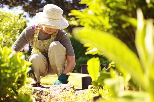 Screen-reader friendly website content for local tree surgeons