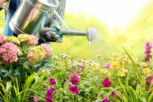 Tree surgeons managing waste removal and site cleanup