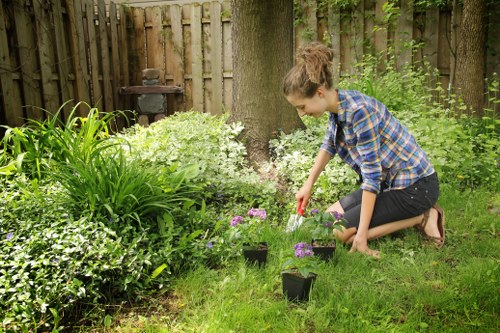 Keyboard navigation and accessible layout for Brimsdown tree care