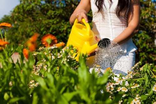 Brimsdown tree surgery services for pruning and maintenance